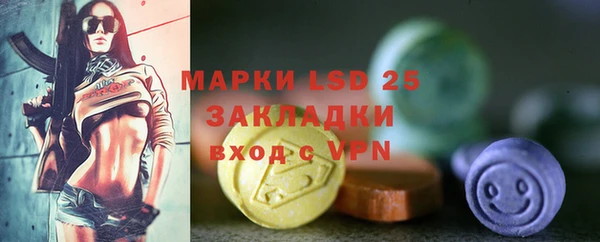шишки Алзамай