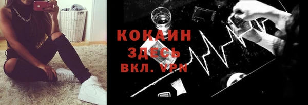 apvp Алексин