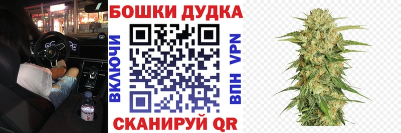 где можно купить наркотик Сокол даркнет какой сайт Бошки марихуана OG Kush